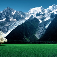 Bossons Glacier