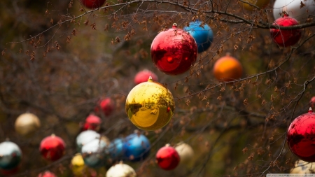 Christmas Balls - stralucesc, colorate, bradul, il impodabesc