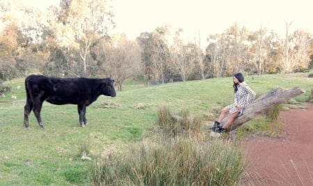 Can't Bully A Cowgirl.. - women, fun, cow, female, boots, brunettes, western, girls, cowgirl, style, outdoors, bull, ranch, field