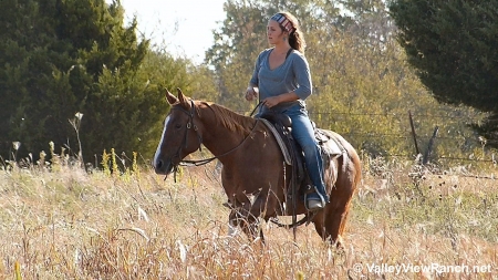 Ranch Life.. - girls, western, women, ranch, outdoors, horses, brunettes, cowgirl, fun, female, boots