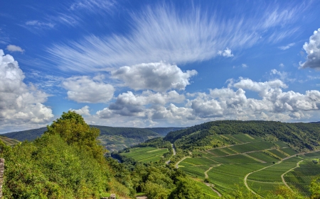 a field - cool, field, fun, trees, nature, mountain