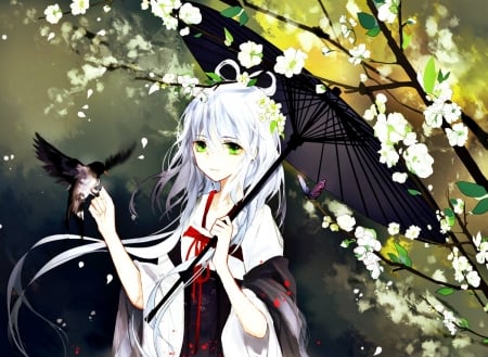 Lou Tianyi - Cute, Flowers, Japanese Girl, Pretty, Umbrella Girl, Bird, Beauty, Lou Tianyi, Japanese Flower, White Flowers