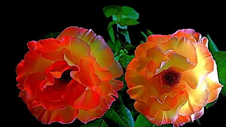 FLOWERS - leaves, orange, green, petals