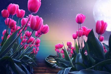 Pink Tulips in The Moonshine - moon, water, tulips, glow, pretty, pink, colors, flowers, boat