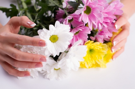 â™¥ - abstract, flowers, gerbera, soft