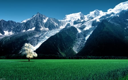 Snow Mountains - nature, 2016, snow, green, mountains, grass