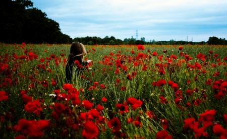 Lovely Day - flowers, field, nature, woman