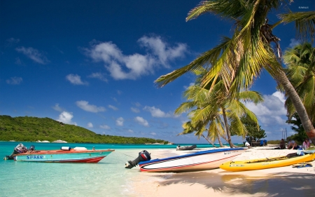 tobago - tobago, beach, palm, boat