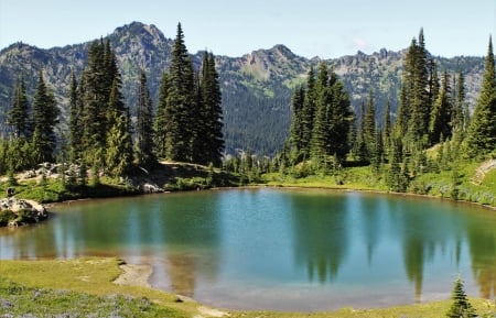 Lake Topsoo - lake, forest, cool, fun, nature, mountain