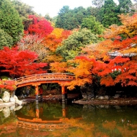 Daigo Temple