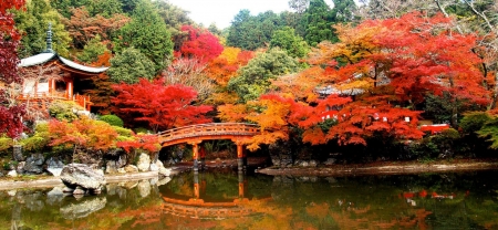 Daigo Temple - autumn, japan, daigo, temple, kyoto