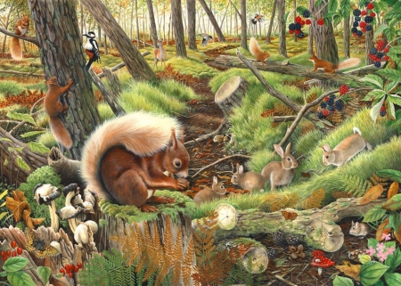 Save Our Squirreals - squirreals, life, woods, wild