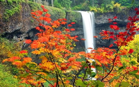 Changing of the Season's - colorful, waterfall, season, autumn, change