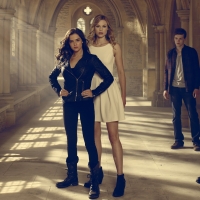 Vampire Academy (2014)