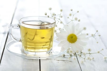 â™¥ - cupp, tea, daisiey, flower