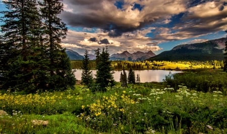 Mountain Lake - nature, lake, flowers, mountain