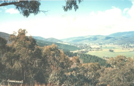 Blue Mountains in Australia - Mountain, Trees, Field, Blue