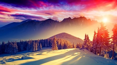 Beautiful Sunrise - winter, snow, sunrise, forest, dawn, sunset, twilight, mist, mountains, sky