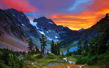 Swiss Alps Sunset - trees, landscape, colors, mountains, sky