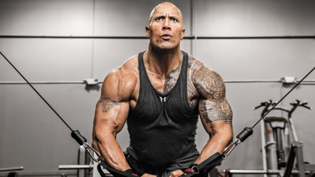 Dwayne Johnson - famous, dwayne, body, people, 2016, movie, bodybuilder, actor, johnson