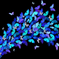 Burst of Blue Butterflies