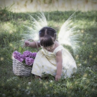 Little fairy