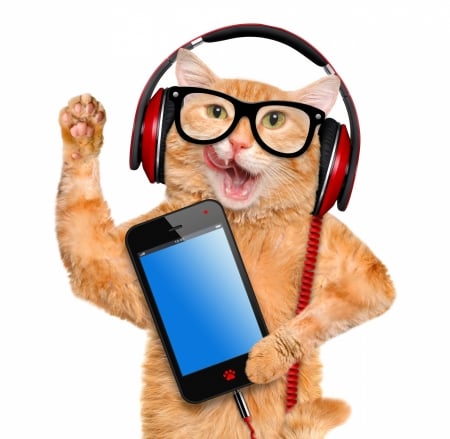 Lambada! - glasses, cat, music, funny, pisica, ginger, phone, red, blue, headphones, animal, orange