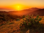 Blackjack Sunset, Catalina Island, California