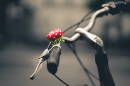 In the rain - bike, drops, black and white, rain