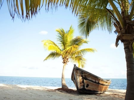 Moorings Village Resort, Islamorada, Florida - sky, sea, palmtrees, boat