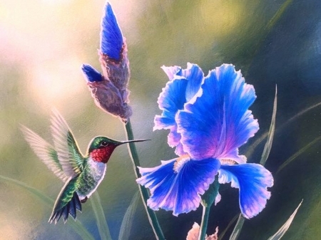 Grandma's Garden - nature, love four seasons, animals, hummingbird, summer, paintings, flowers, garden