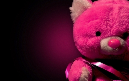 (âœ¿â— â€¿â— ) âœŒ - fun, movie, bear, pink