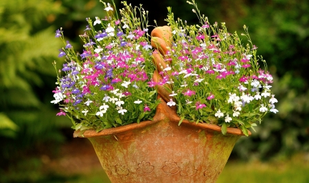 Lobelia Basket - lobelia, basket, flowers, pretty