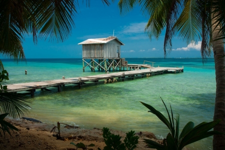 New Day - cottage, nature, beach, tree