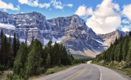 Icefields Parkway, Alberta, Canada - sky, landscape, clouds, tree, road