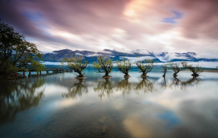 Beautiful Scenery - clouds, trees, nature, sky