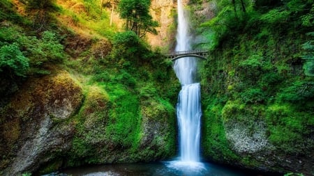 Waterfalls - nature, waterfalls, plants, rocks