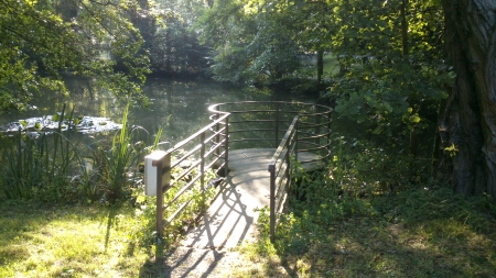 A Water-Quality Checkpoint - snapshot, trees, summertime, photography, sun, water, leaf, wood, checkpoint, af, green, sunny, forrest, tree, grass, photograph, outside, lake, fence, sunlight, daylight, day, park, summer, daytime, leafs, leaves, photo