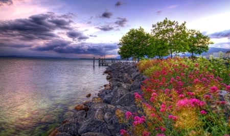 Sea View - nature, sky, flowers, sea