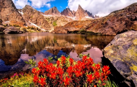 Flowers by the Lake - Mountain, Lake, Nature, Flowers