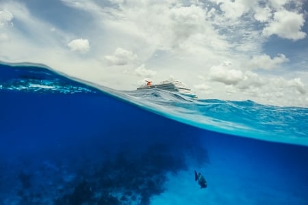 Oceans - fish, oceans, abstract, blue