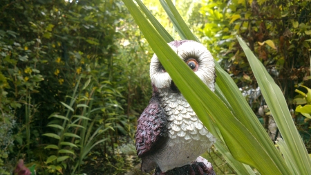 Owl 1 - nice, figurine, screenshot, summertime, eyes, hidden, branch, photography, wings, leaf, white, brown, yellow, green, owl, photograph, garden, scene, branches, outside, day, summer, bird, night hunter, daytime, leafs, leaves, animal, photo