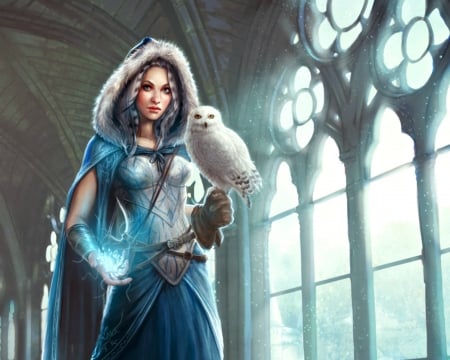 Sorceress - me-illuminated, girl, winter, frumusete, fantasy, bird, white, sorceress, luminos, blue, owl