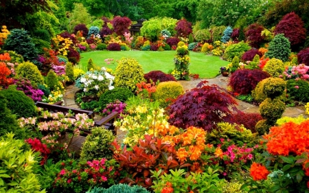 garden - flowers, nature, beautiful, wallpaper