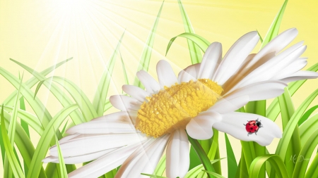 Sunbeams on Daisy - summer, sunbeams, ladybug, daisy, sunshine, spring, grass, flowers, firefox persona theme