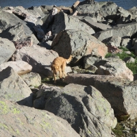 Hoover rock climbing trail Beartooth Mountains