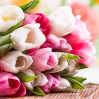 Bouquet of Tulips