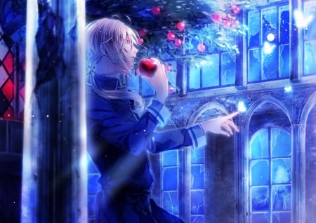 Butterfly touch - fruit, white, butterfly, otogaki yoro, pink, red, blue, luminos, man, anime, apple, manga, guy