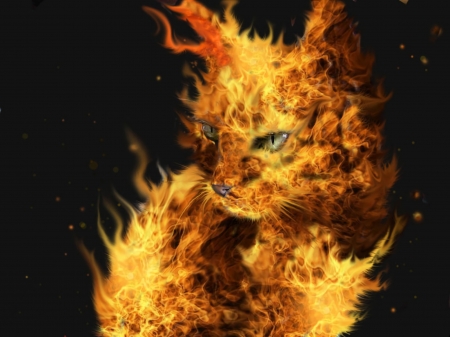 Fire cat - black, fantasy, pisica, yellow, fire cat, ionut mitrofan