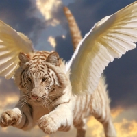 Angel tiger